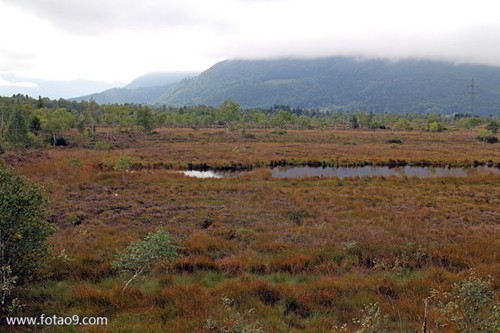 μ̫̫͵ֻץ,μ̫̫͵ֻץ