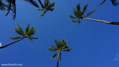 梦见妈妈被电,解梦梦见妈妈被电 梦见妈妈被电,解梦梦见妈妈被电