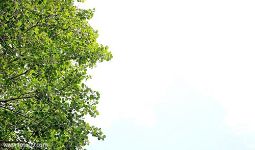 μǺˮԼӾ,μǺˮԼӾ