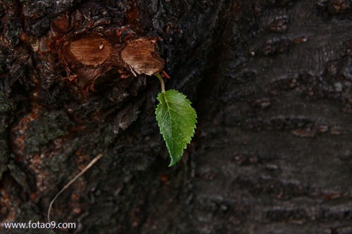 иμˮˮ೤,иμˮˮ೤