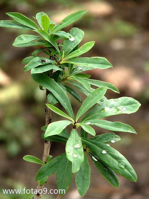 梦见我需要解恨,解梦梦见我需要解恨 梦见我需要解恨,解梦梦见我需要解恨