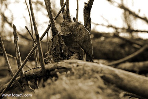 μȥϴѧ·,μȥϴѧ·