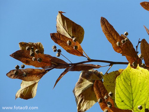 梦见在佛堂被追杀,解梦梦见在佛堂被追杀 梦见在佛堂被追杀,解梦梦见在佛堂被追杀