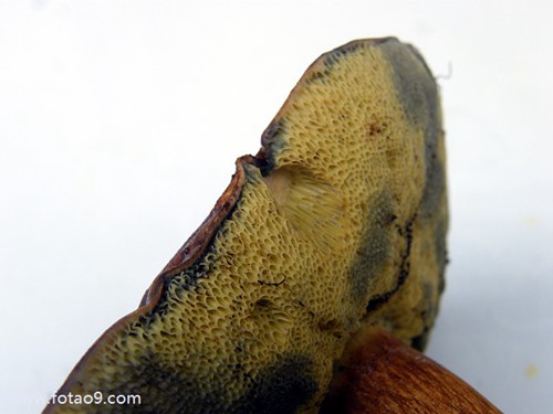 梦见被家人門禁,解梦梦见被家人門禁 梦见被家人門禁,解梦梦见被家人門禁