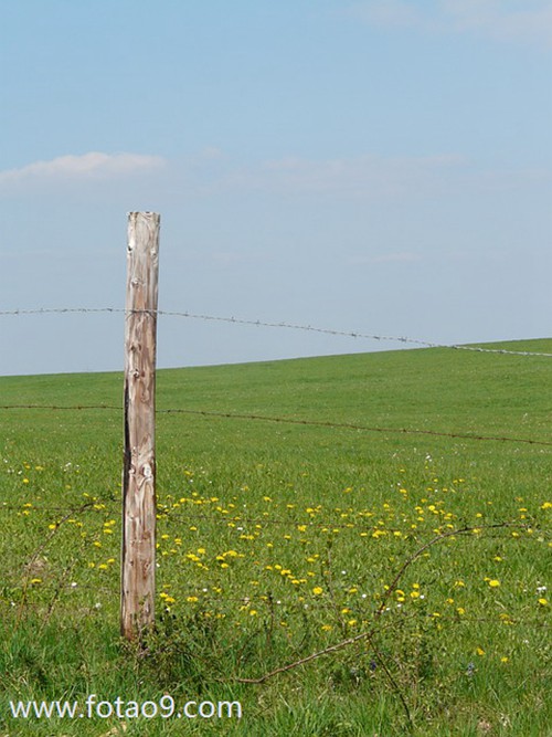 梦见别人把自己的车开掉进河里,解梦梦见别人把自己的车开掉进河里 梦见别人把自己的车开掉进河里,解梦梦见别人把自己的车开掉进河里