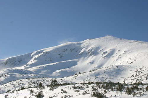 μԼϲ˺ųԷ,μԼϲ˺ųԷ