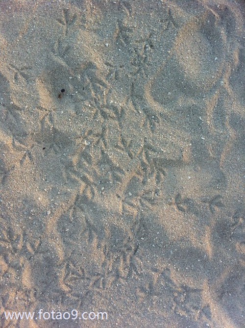 梦见去世的亲人在煎鱼,解梦梦见去世的亲人在煎鱼 梦见去世的亲人在煎鱼,解梦梦见去世的亲人在煎鱼