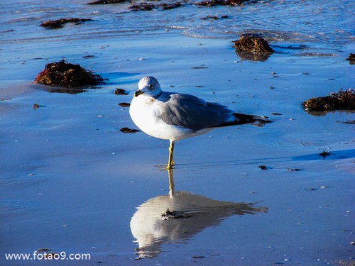 梦见吃饭铁锅打坏了,解梦梦见吃饭铁锅打坏了 梦见吃饭铁锅打坏了,解梦梦见吃饭铁锅打坏了