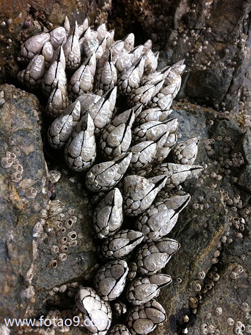 μѧУܶ֩,μѧУܶ֩