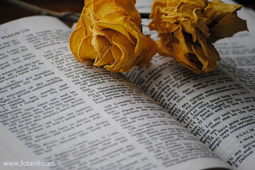 μӺܺڵķӳ,μӺܺڵķӳ