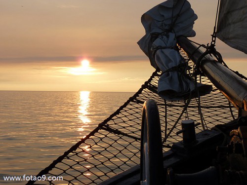 梦见鱼缸破但鱼没死,解梦梦见鱼缸破但鱼没死 梦见鱼缸破但鱼没死,解梦梦见鱼缸破但鱼没死