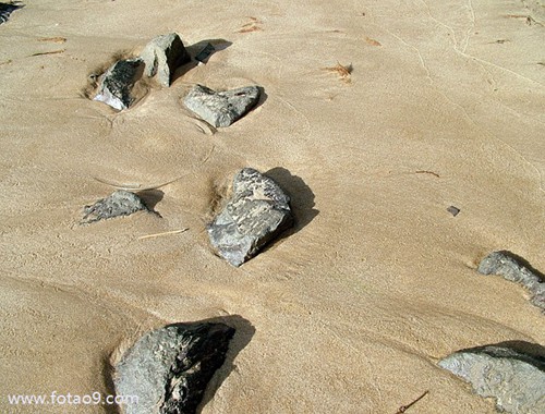 μͬѧѴƷ,μͬѧѴƷ