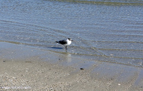梦见爱人奄奄一息,解梦梦见爱人奄奄一息 梦见爱人奄奄一息,解梦梦见爱人奄奄一息