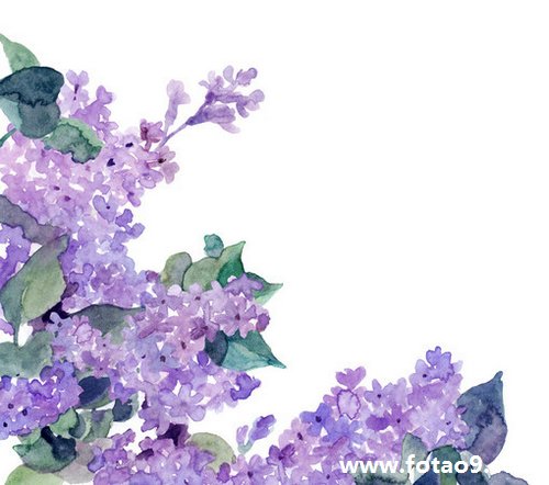 μѴ,μѴ