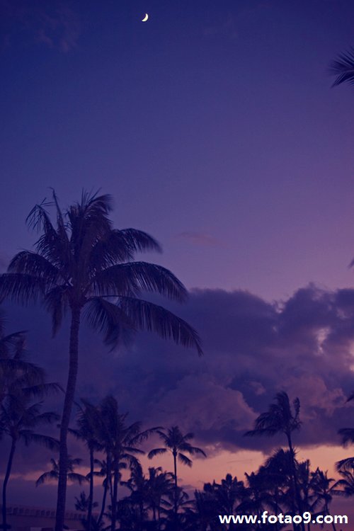 μҵһײ˵,μҵһײ˵