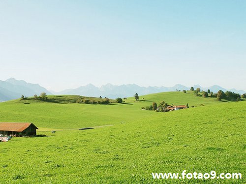 梦见死人还把她的尸体挂起来了,解梦梦见死人还把她的尸体挂起来了 梦见死人还把她的尸体挂起来了,解梦梦见死人还把她的尸体挂起来了