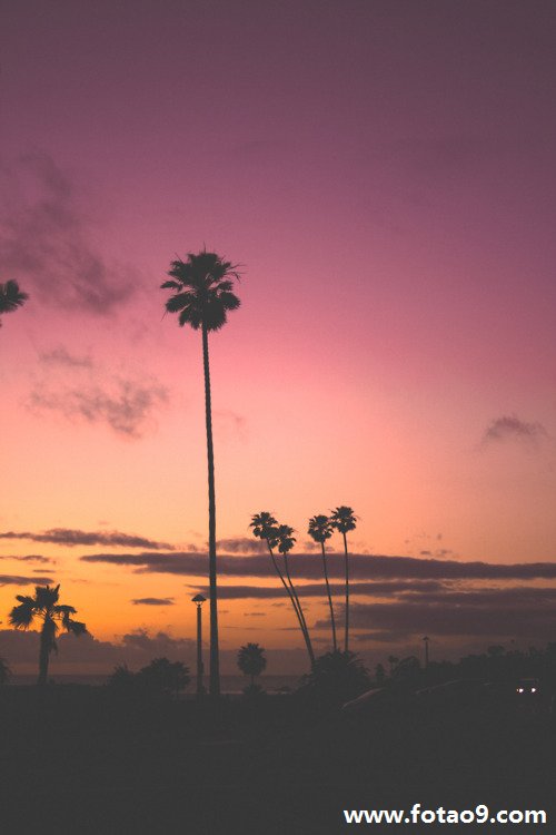 μè˵,μè˵