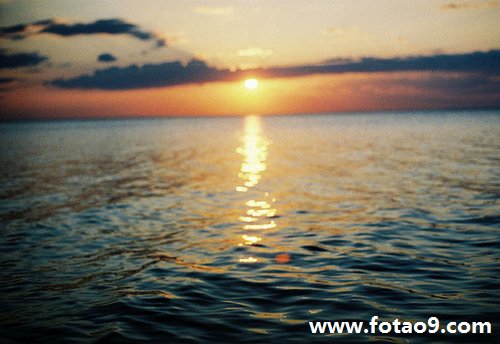 梦见家里的狗狗变成鬼掐着我,解梦梦见家里的狗狗变成鬼掐着我 梦见家里的狗狗变成鬼掐着我,解梦梦见家里的狗狗变成鬼掐着我