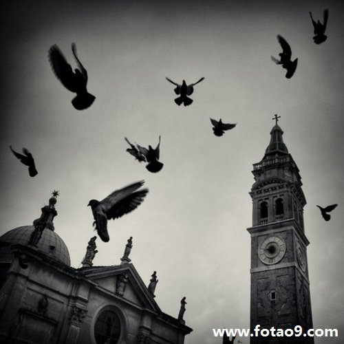 μˮˮȫˮˮ,μˮˮȫˮˮ