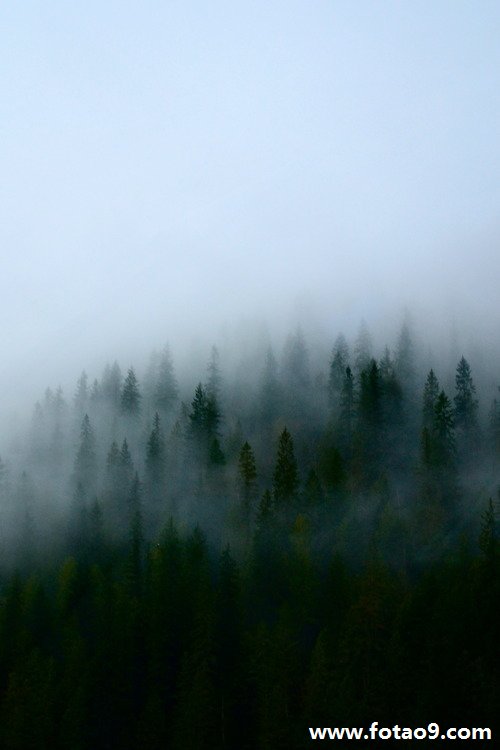 μһ,μһ