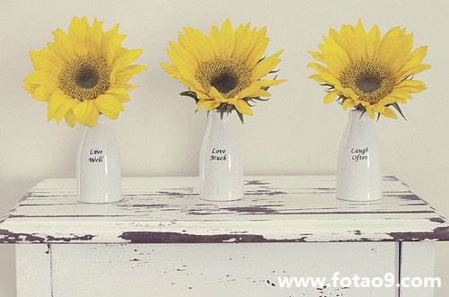 μһصİ,μһصİ