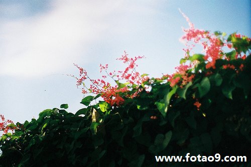 μȫС·,μȫС·