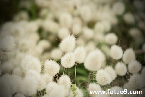 μӱ,μӱ