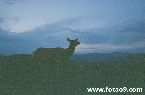 μһ,μһ