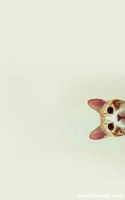 μӹ,μӹ