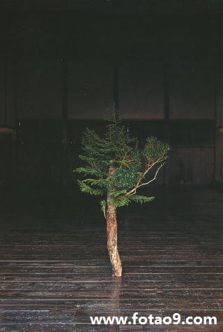 μɱ˹,μɱ˹