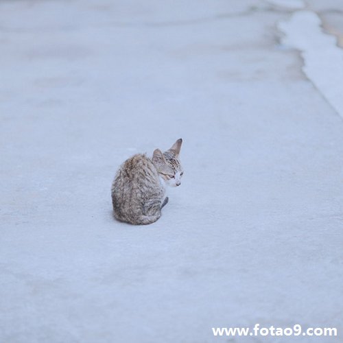 μһũƭ˺öǮ,μһũƭ˺öǮ