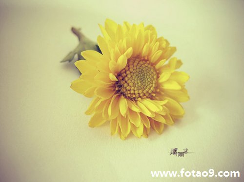 μүҶϴˮ,μүҶϴˮ