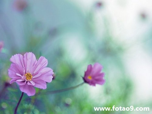 梦见有人拿火机燃烧我下体阴毛,解梦梦见有人拿火机燃烧我下体阴毛 梦见有人拿火机燃烧我下体阴毛,解梦梦见有人拿火机燃烧我下体阴毛