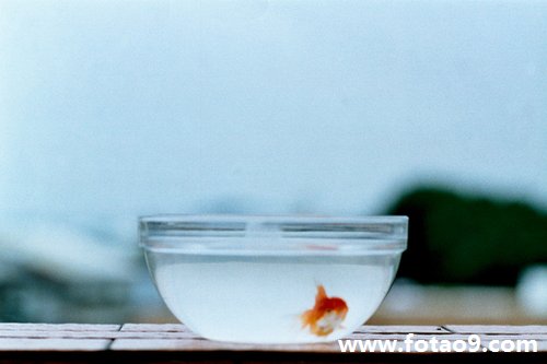 μǮ͵Ҳ,μǮ͵Ҳ