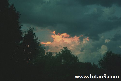 μٵ,μٵ