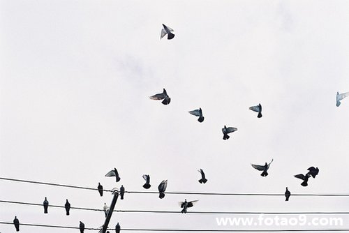 μڲ̴,μڲ̴
