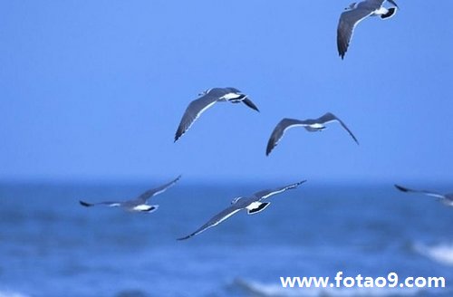 梦见别人被冤委屈流泪,解梦梦见别人被冤委屈流泪 梦见别人被冤委屈流泪,解梦梦见别人被冤委屈流泪