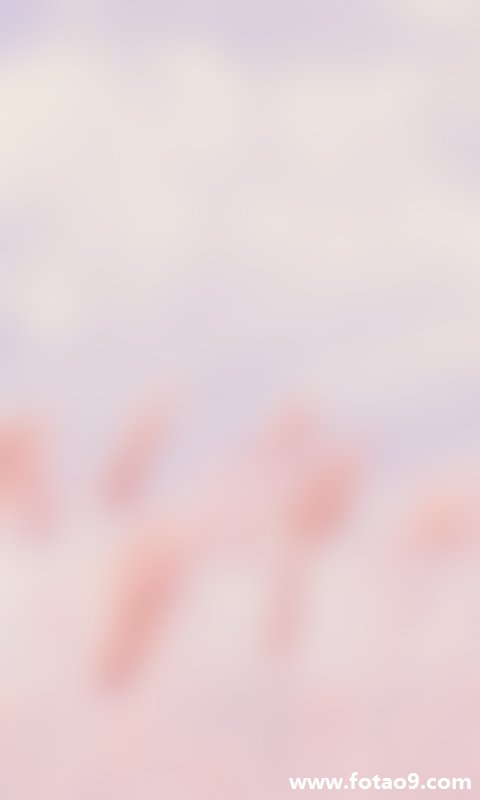 μ,μ
