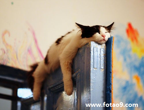 μͱһ͵Ǯ,μͱһ͵Ǯ