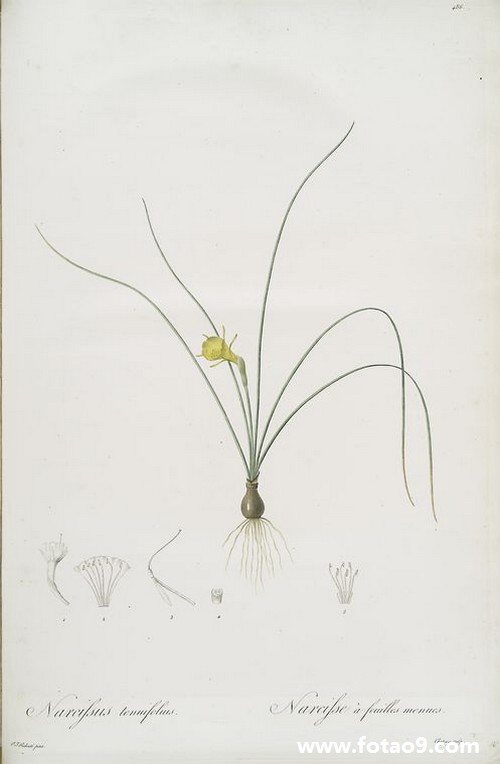 μԼҵĹҧŽŸ,μԼҵĹҧŽŸ