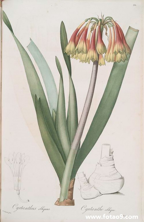 μõ㻨ǮԱ,μõ㻨ǮԱ