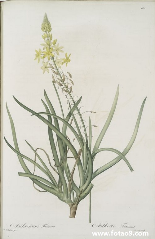 μԼ׷޵,μԼ׷޵