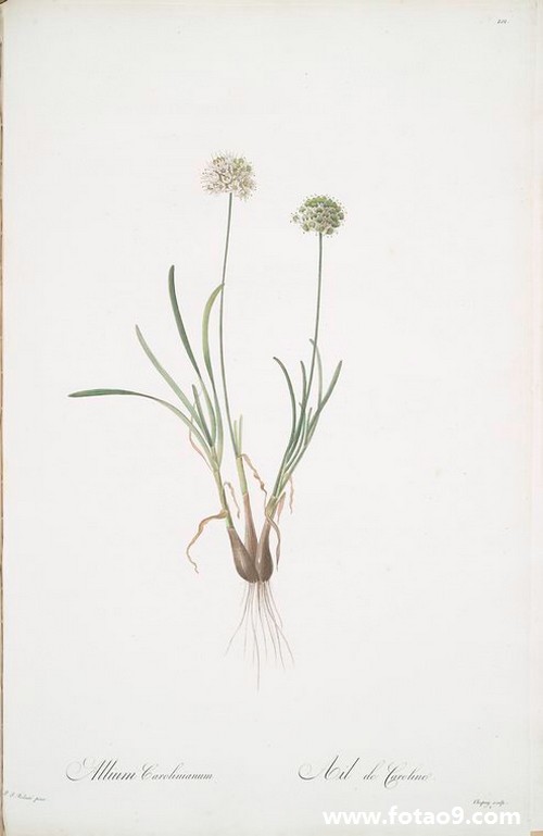 梦见用优盘拷东西,解梦梦见用优盘拷东西 梦见用优盘拷东西,解梦梦见用优盘拷东西