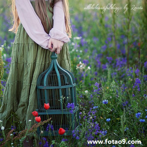 μɥʬαװ,μɥʬαװ