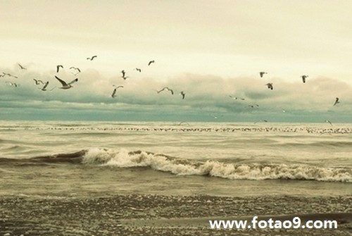 μڼҵĳ,μڼҵĳ