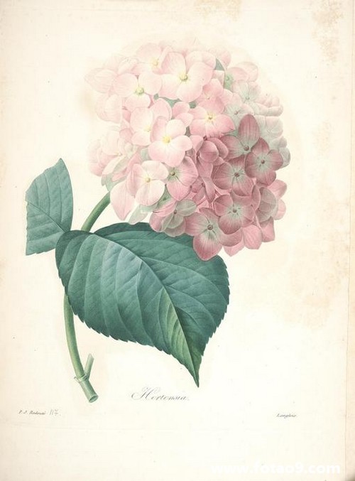 梦见姑姑在吃头发,解梦梦见姑姑在吃头发 梦见姑姑在吃头发,解梦梦见姑姑在吃头发