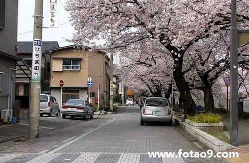 梦见老公被老虎咬死,解梦梦见老公被老虎咬死 梦见老公被老虎咬死,解梦梦见老公被老虎咬死