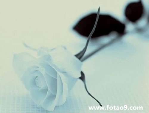 μϱҧ,μϱҧ