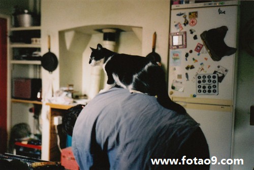 μ˯¥Ϲ̨,μ˯¥Ϲ̨