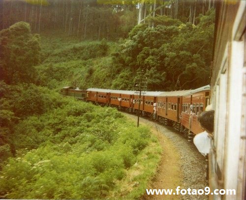 梦见死去的婆婆要咬我,解梦梦见死去的婆婆要咬我 梦见死去的婆婆要咬我,解梦梦见死去的婆婆要咬我